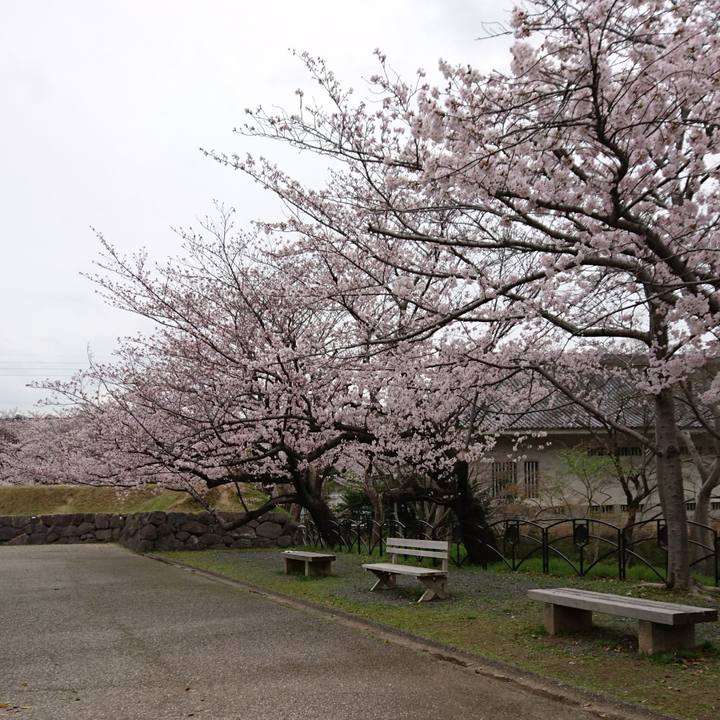 6b30135b 8cb7 4b5d a87f eda27c0eed8a 1649837374097