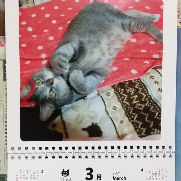 6b301ca2 5e4b 4270 a3c1 c3e704e99e44 1614556988549