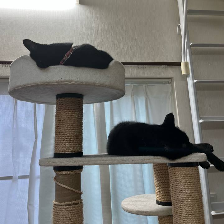 6b30252c d749 48a2 8661 d9ae47dac90a 1684679407319