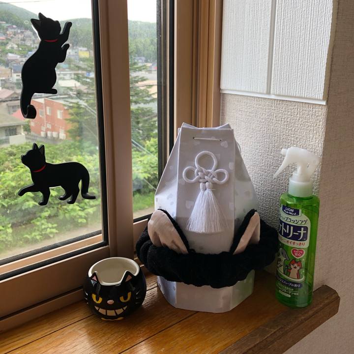 6b3043f1 8f3e 4fea a755 60983ae87e77 1562276099113