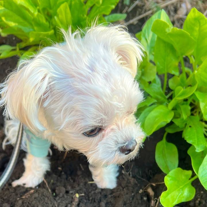 6b30441e 8b66 4fba 92d9 93ffa0e92eea 1678792909302