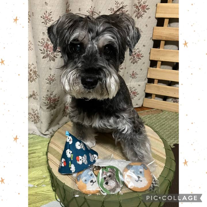 6b3045cc 1e47 45ff 84e4 20f72d1c6733 1751288266585