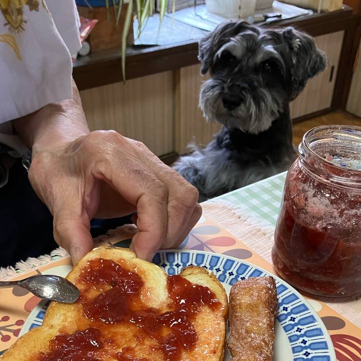 6b307337 2f2d 4fa0 b1fe 27c1f599e010 1715992607586