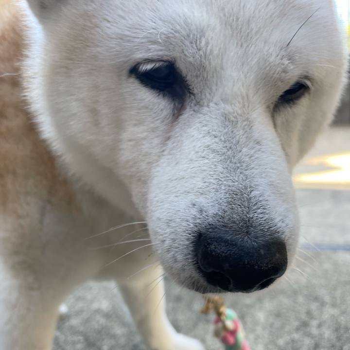 6b308859 8ad2 4b6c 8695 8d0a8216de78 1693121960208