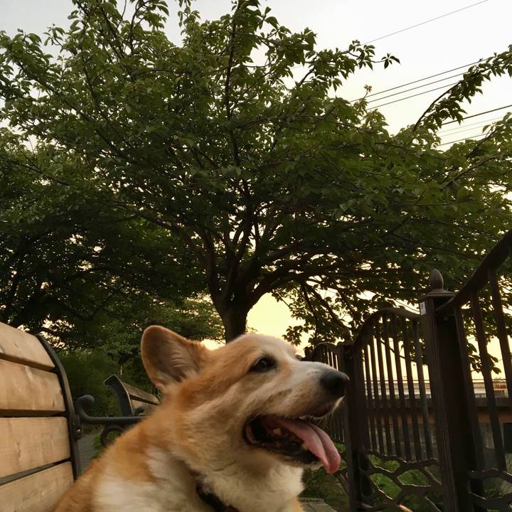 6b309af1 762d 4823 b767 76f380d00793 1657696360588