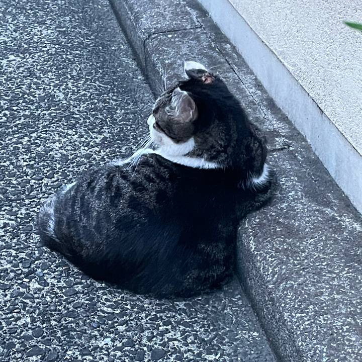 6b30a750 d5a6 4e19 a7d9 a09c7a01e8dc 1694429217997