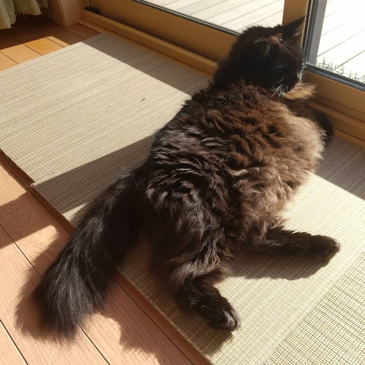 6b30b877 a6d0 42f4 af9b 69120ec7315c 1641440854531