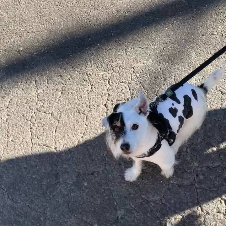 6b312bf5 164d 43cf be8a be189a401be5 1734225296313