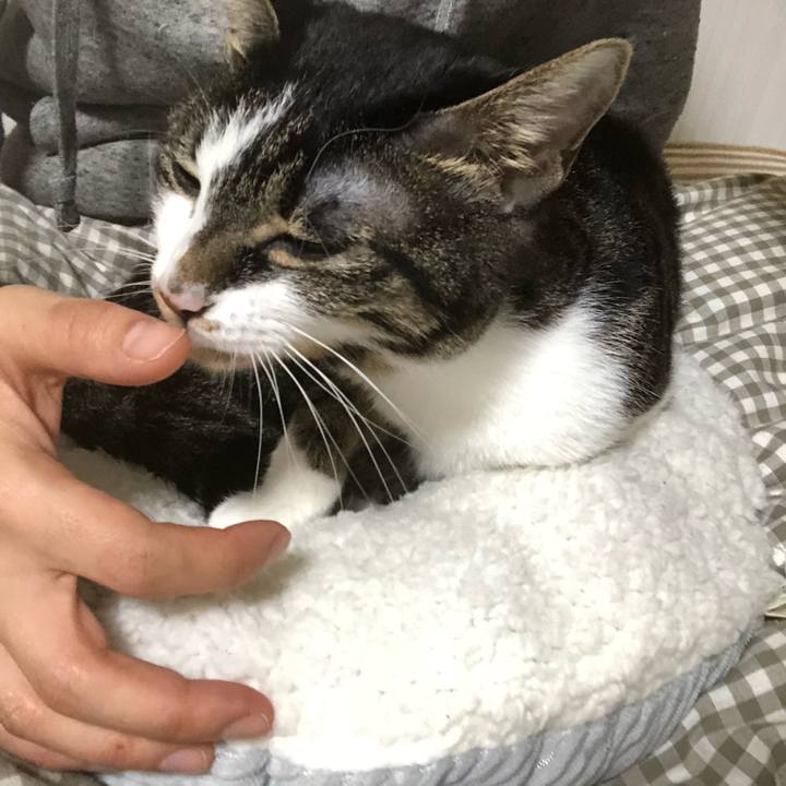 6b315576 8ce8 4d04 bafd f23abeda9d61 1578259784438