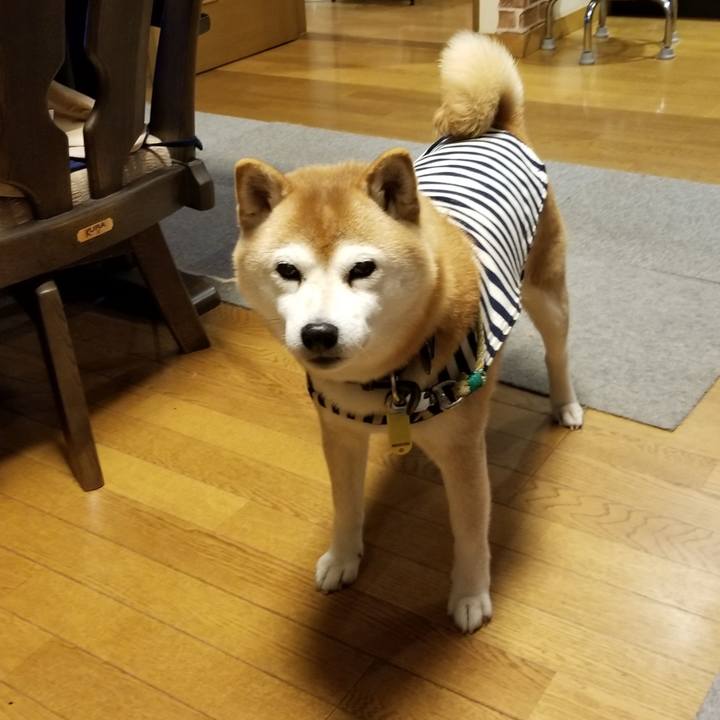 6b31e4c6 7186 4d0e 9705 743dc4c95028 1643879101415