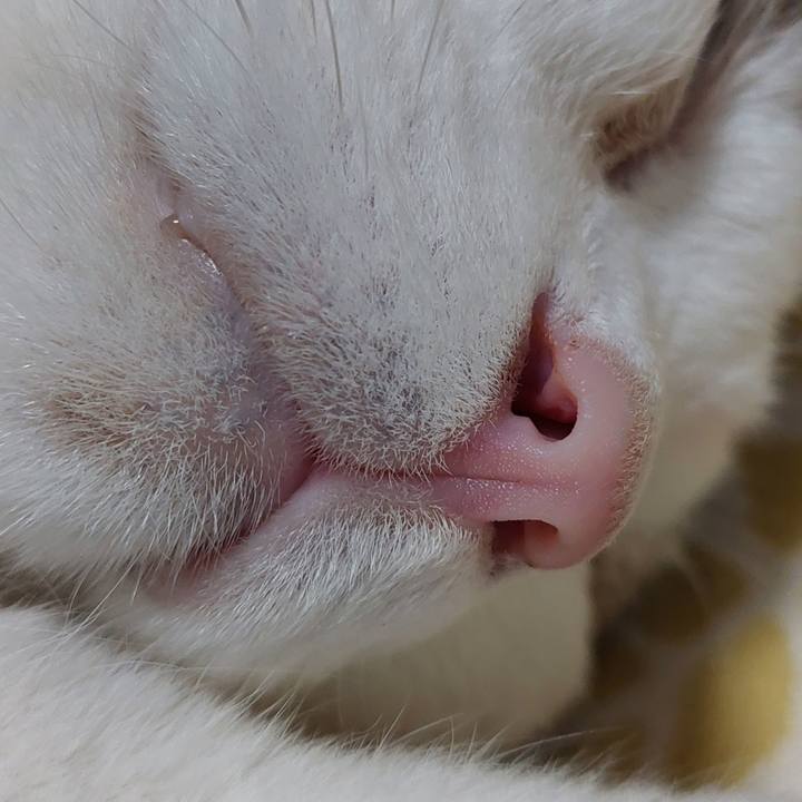 6b31fcd3 d99c 4d3e a683 7a584c912ee7 1753787586717