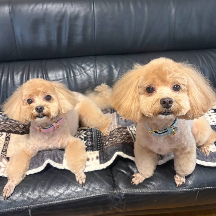 6b320ea5 ca28 4743 86a5 95dbce9ca623 1760158916372