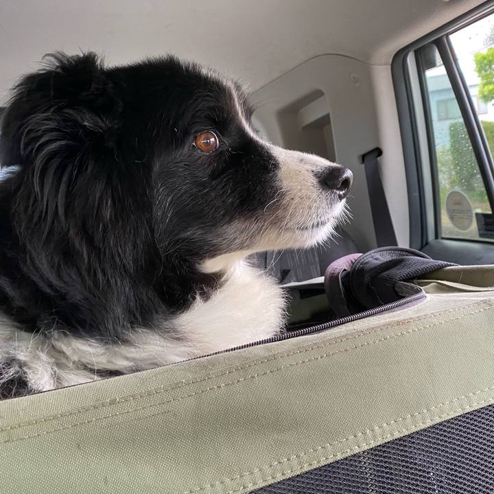 6b324346 7cc3 499b a5f0 17e226b84f9e 1663020317613