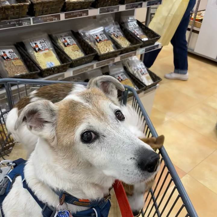 6b324a12 c418 4f75 8b18 853f1f23c0f6 1650187270426