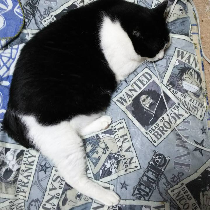 6b32585b d664 4784 aa1b c87724b75a21 1529358363522