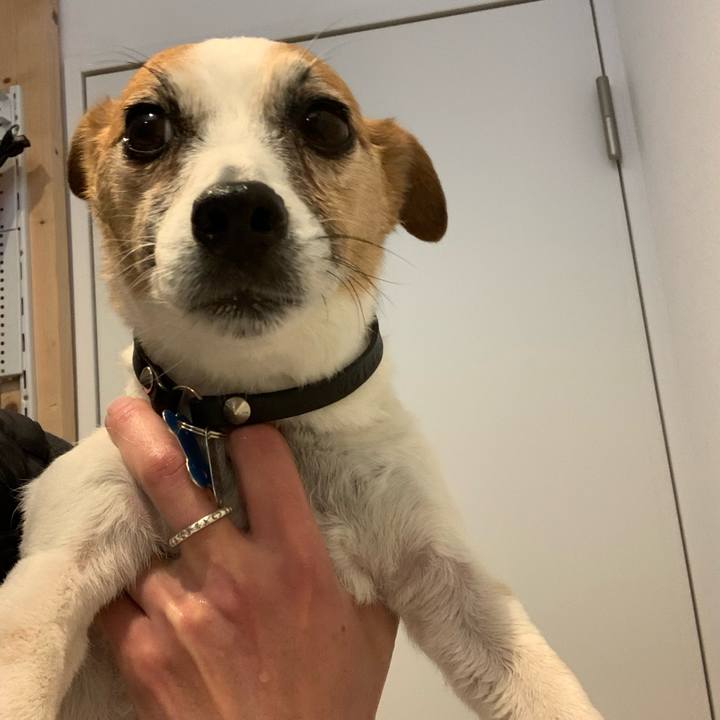 6b32774c f5d0 4993 a2ff 5c6f1b31560d 1646356727607