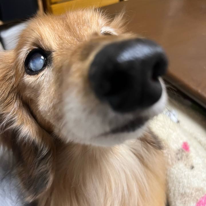 6b32809e 77ee 4c6c a819 a89f01af0652 1676120707622