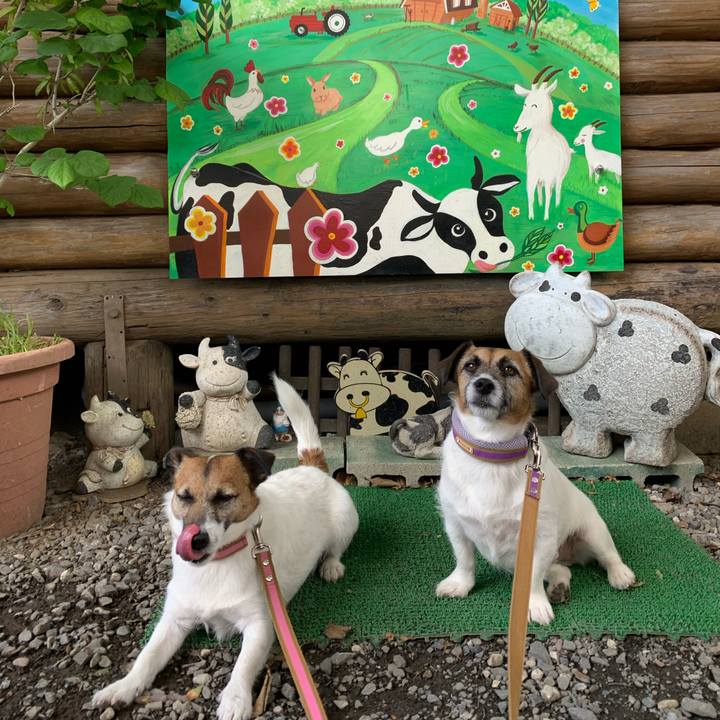 6b32852d f3b2 408a a651 823d5528d90d 1621768013139