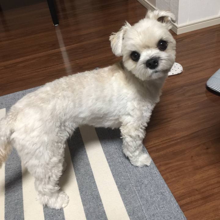 6b330ec6 f371 4f0e aee1 2fb6e9cfbb9d 1509029503485