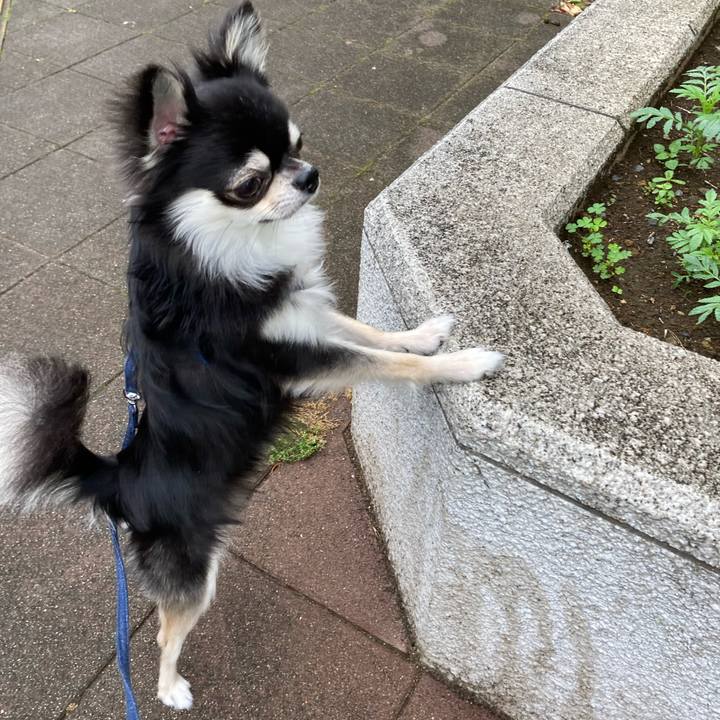 6b3326b0 efb7 4fd7 80df 8acb4d00ec30 1622950282699