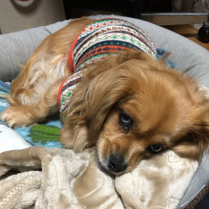 6b333edb b61d 4426 847c e39336185f0d 1552428588930