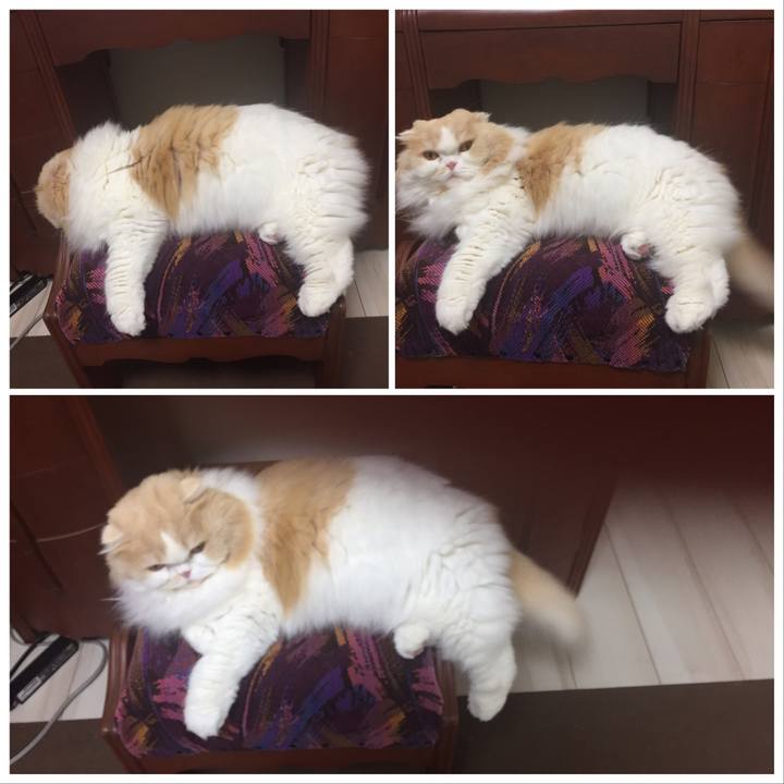 6b334ae1 6f31 4d13 8812 5aea15e0df14 1590200399430