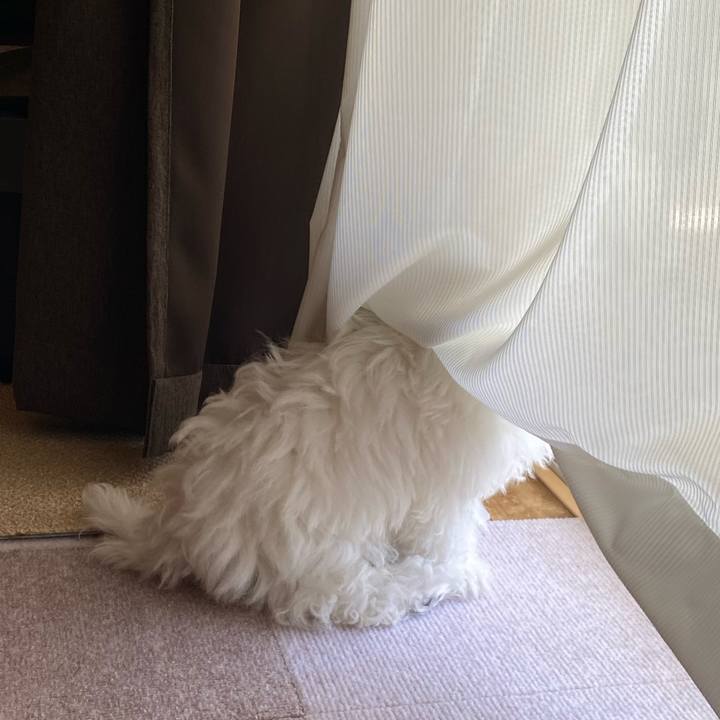 6b3372e6 7f29 45c2 883c 4fb48c3ff9f8 1745459241201