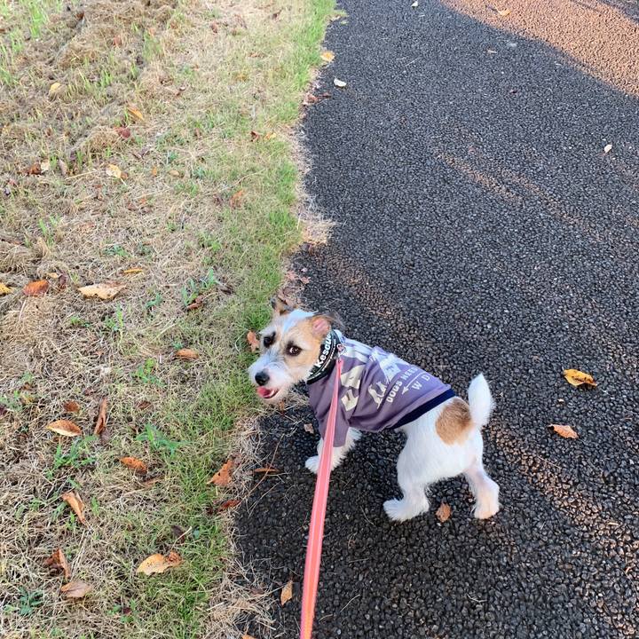 6b3381b3 dcb2 46c0 9a7b 41c088bab28a 1598348889937