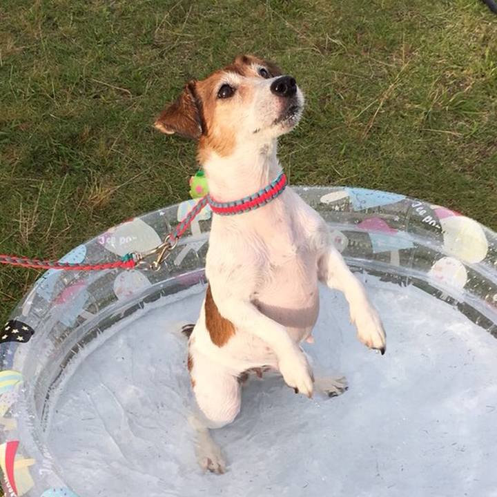 6b33829e 4f0e 4ca7 83bc c820d2a6d2ba 1534341265303