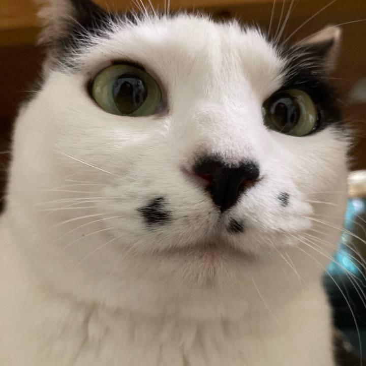 6b339602 55e6 402f 8458 931fc3d4c2f3 1766314107953