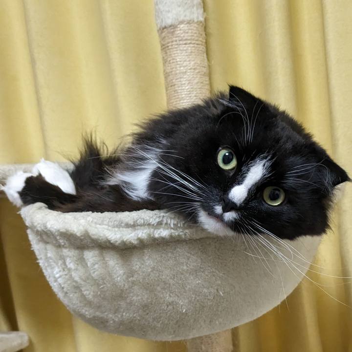 6b33991e a71a 48e4 8f51 ae112e988207 1713227168936