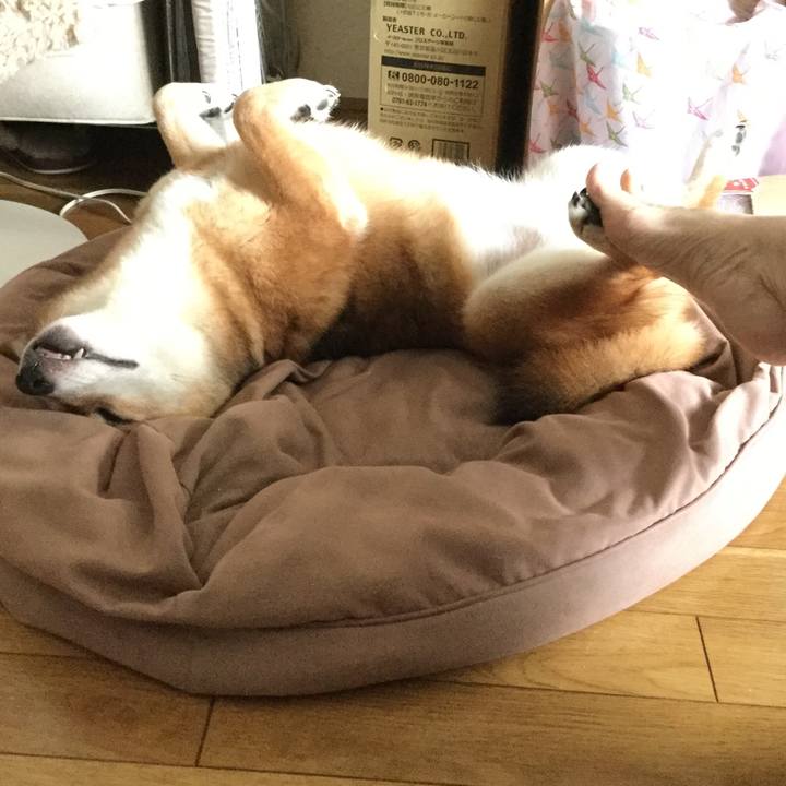 6b33ae24 3f89 4670 95a6 ca79301613eb 1566778568933