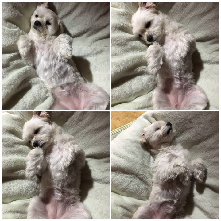 6b33c4c1 667b 4b4f 9211 34b76aef4ab4 1554290352234