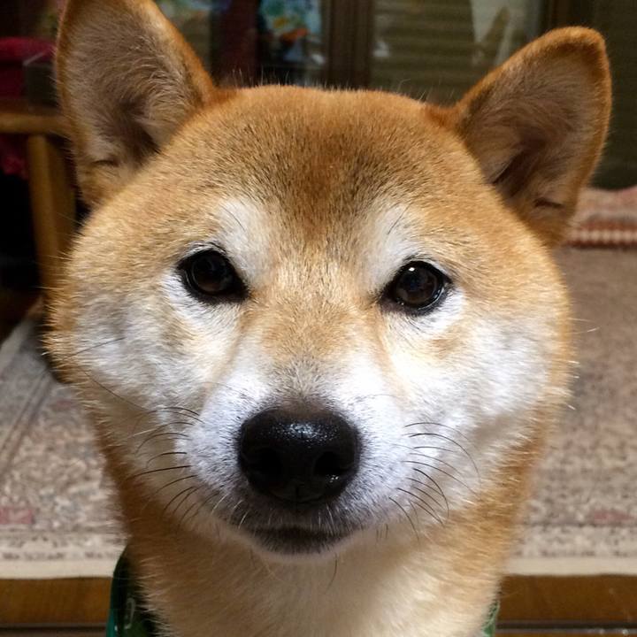 6b3422e6 6d33 42b4 8fa4 3510528c9cec 1508402971936