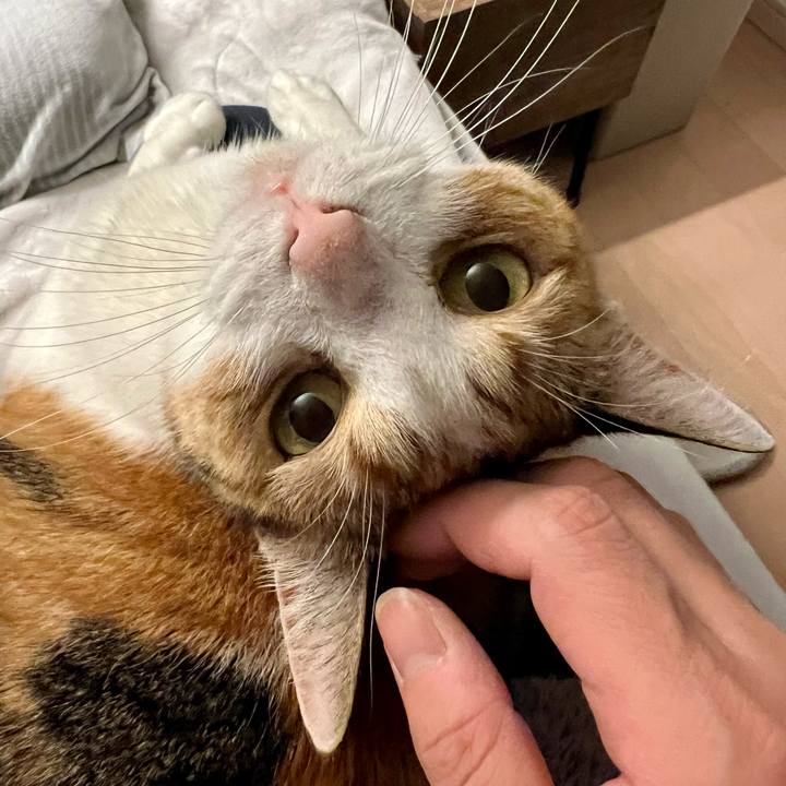 6b3426f3 fa95 487a bb91 f968700f1f2c 1768189786185