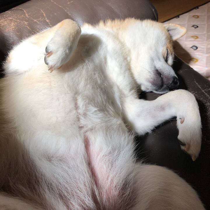 6b343855 d770 4405 bd7a 5315ceb2fe4f 1557292497124