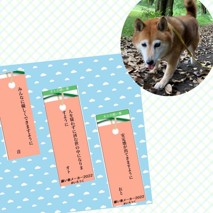 6b34461b a03d 406b 940b 3fcf32ca934d 1657091179210