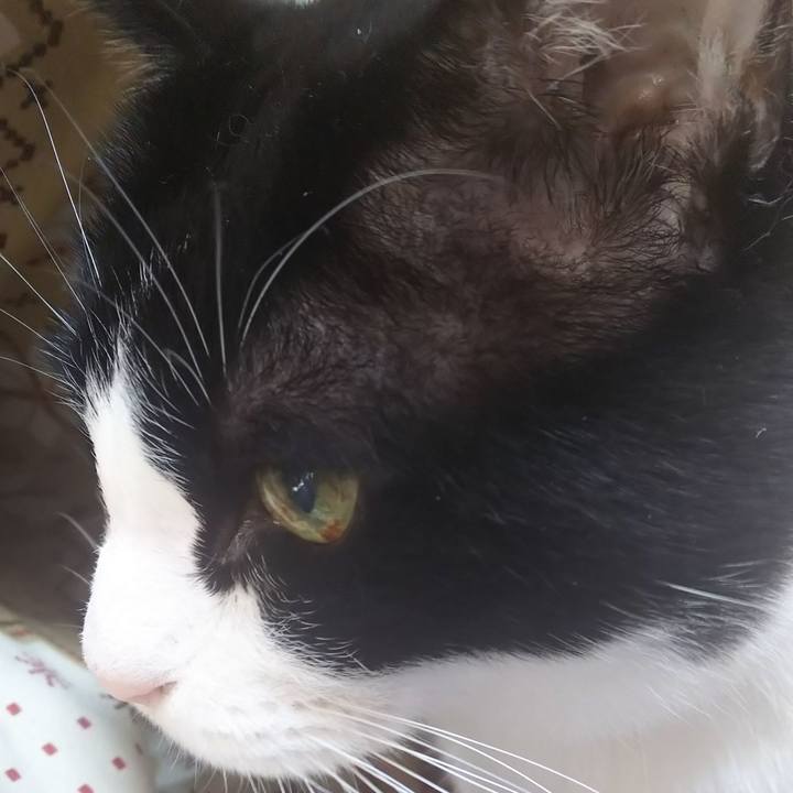 6b346764 a0cd 4d15 a22c 9cea797fb355 1580609132068