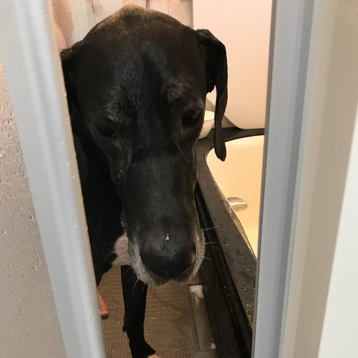 6b346832 a0ab 48f4 91cd f131055e21d6 1510452039323