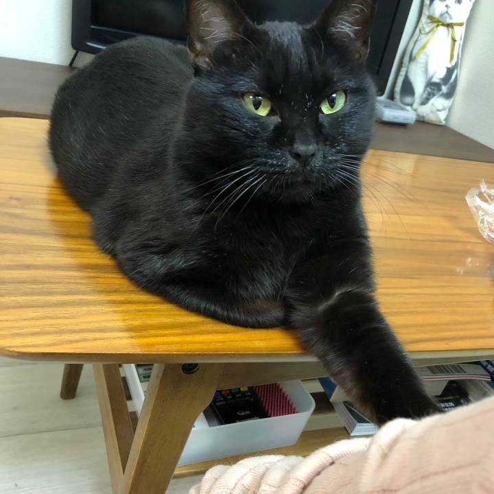 6b34ab3b f8ea 474b 92d7 d95bcc2a3039 1514624410472