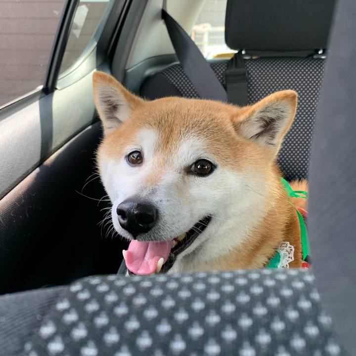 6b34cb57 74ca 4662 9a13 0452bd403d6f 1618560158059