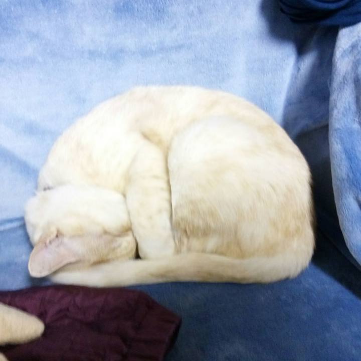 6b34cc35 4460 4698 838e 8145ce456077 1511364589367