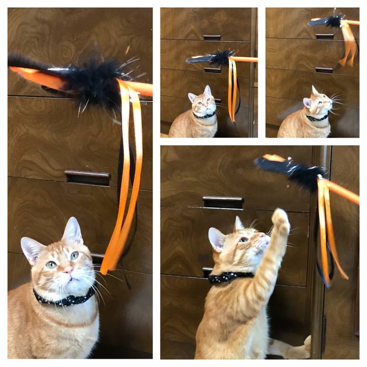 6b34cc98 16da 444e a804 3ec649833bd7 1538290205780