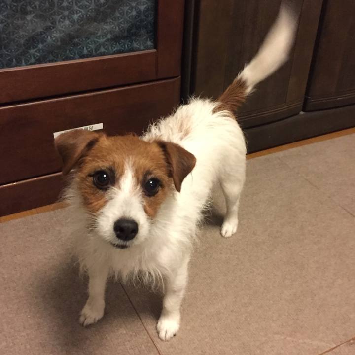 6b350c37 6a8e 4e94 a0c9 553481adc0be 1511043365405