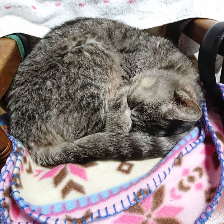 6b351992 34f0 4427 bc7b 794c1eb74eb2 1575758995930