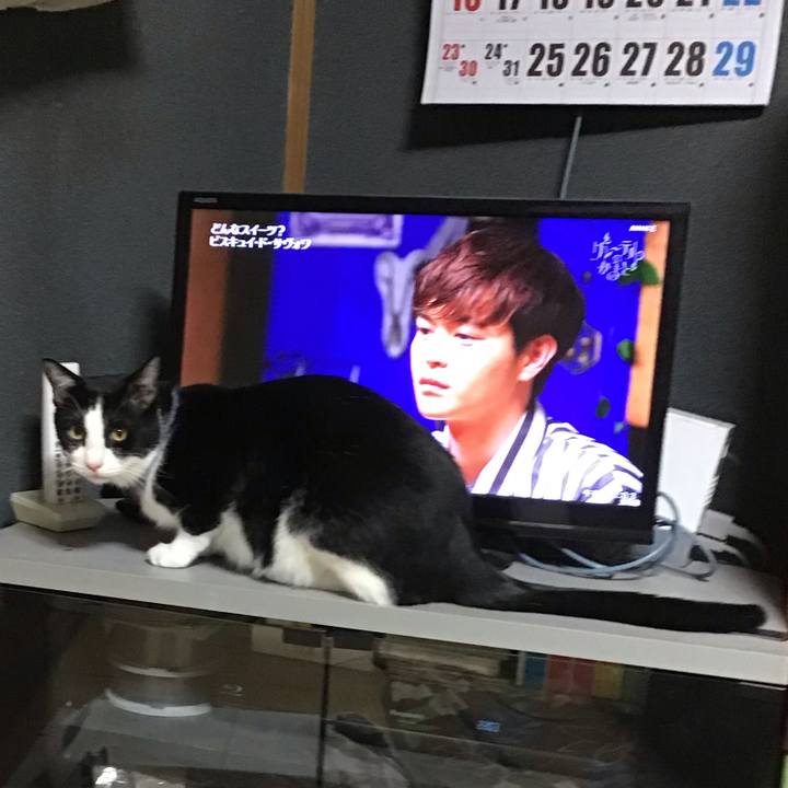 6b353742 8bdd 49f9 ac06 488e380205c9 1666619421003