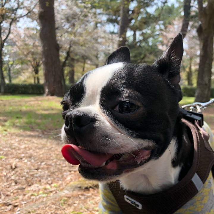 6b353fab 094b 4756 af18 a2184690aa79 1522301219004