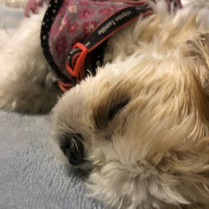 6b358707 634e 4a92 af49 43e037dcd144 1636635186008