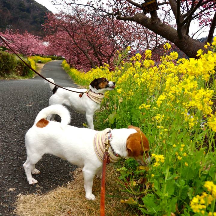 6b35a00b 5f2a 4276 8a31 b918bdc826d1 1613195714882