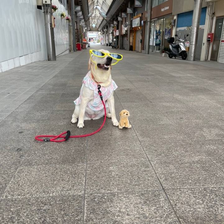 6b35aa2b 74f7 435c b034 54c849aeee0b 1632803534975